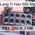 Lang Yi Hao 500 Mg 30